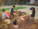img0010.jpg