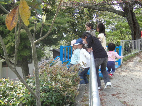 img0002.jpg