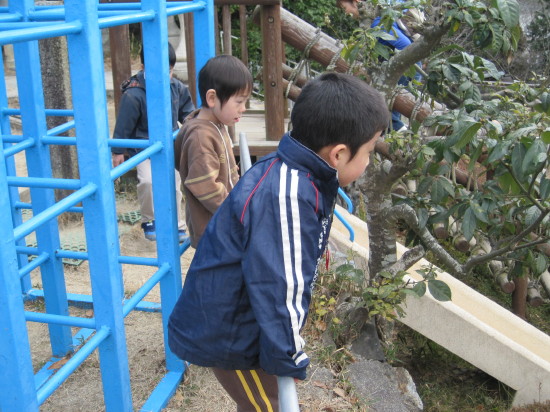 img0091.jpg