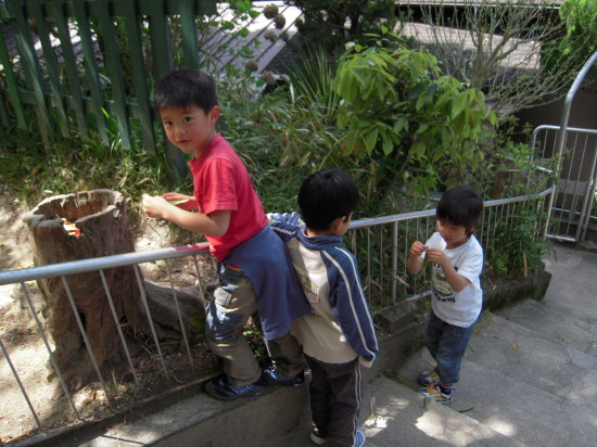 img0056.jpg