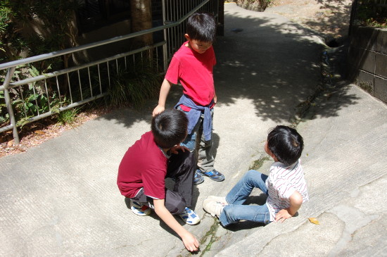 img0060.jpg