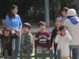 img0026.jpg