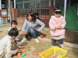 img0055.jpg