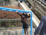 img0060.jpg
