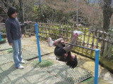 img0071.jpg