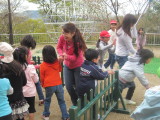img0036.jpg