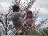 img0103.jpg
