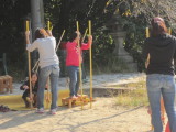 img0003.jpg