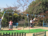 img0015.jpg