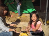 img0036.jpg