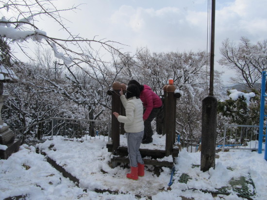 img0017.jpg