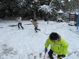img0004.jpg
