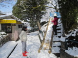 img0008.jpg