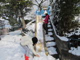img0009.jpg