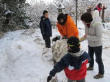 img0016.jpg