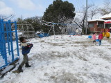 img0028.jpg