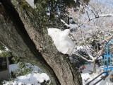 img0036.jpg