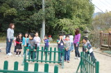 img0010.jpg