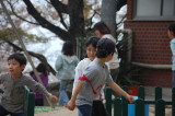 img0016.jpg