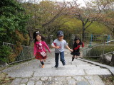 img0028.jpg