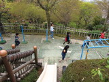 img0034.jpg