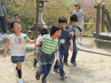 img0055.jpg