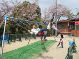 img0058.jpg