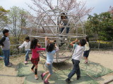 img0063.jpg