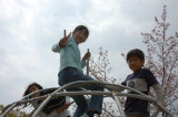 img0064.jpg