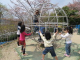 img0068.jpg