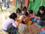 img0071.jpg