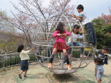 img0087.jpg