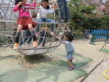 img0088.jpg