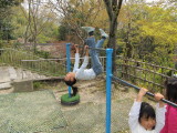 img0099.jpg