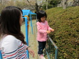 img0103.jpg
