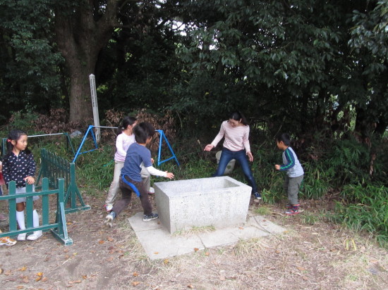 img0008.jpg