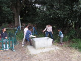 img0008.jpg