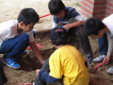 img0045.jpg