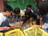 img0063.jpg