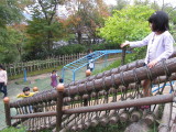 img0071.jpg