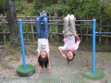 img0073.jpg