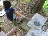 img0012.jpg