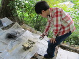 img0020.jpg