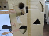 img0110.jpg