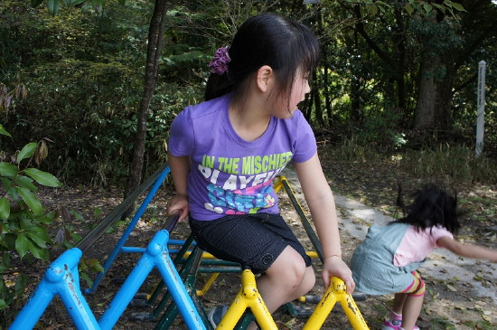 img0113.jpg