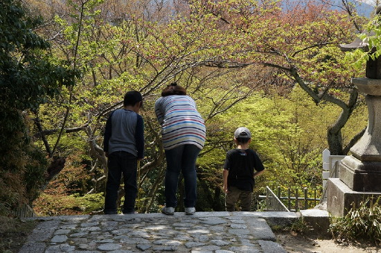 img0114.jpg