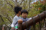 img0081.jpg