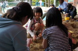 img0104.jpg