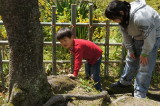 img0120.jpg