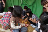 img0130.jpg